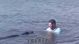 小伙河里游泳碰见鳄鱼，结果一把抱起，鳄鱼谁还不是个宝宝
