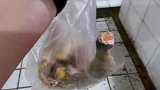 超小厨4斤公鸡配油泼辣子，做四川麻辣凉拌鸡，大口吃肉感觉真爽