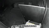 黑熊：尴了个大尬，我被两头猪打啦！