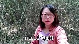 大片的竹林里长满野笋，拔笋声音太好听了，拔上一天不觉得累