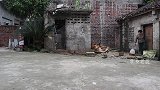 媒婆介绍成功一对青年男女，男方带女方回家见父母，来和媒婆道别
