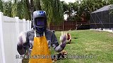 将1000多度的铝水倒进西瓜，打开后，这个作品堪称艺术