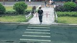 新型道路，汽车高铁两用