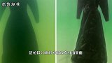 设计师将一件衣服放入死海，2年之后捞上来，现场的人都看呆了
