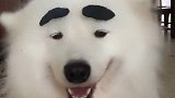 蜡笔吕布！哈哈！
