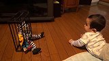 爸爸给小宝宝买了个恶搞玩具，随后宝宝的反应把爸爸笑坏了