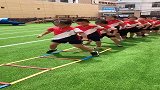 体能灵活的小家伙们