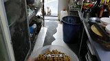 流浪的猫咪夫妻，喂了多天了，每天都要来厨房门口蹭饭