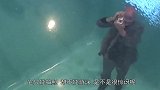 真一眼望不到底的恐惧盘点最奇怪的4大游泳池
