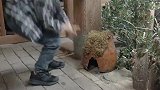 叫我僵小鱼：小鱼和小峰子的相聚是有预谋的？小峰子被小鱼骗了！