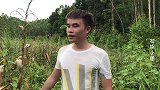 小周种植的玉米可以丰收了，为什么宁愿烂在地里也不去收呢