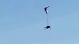 老外不要命挑战高空跳伞，不料绳子打结，这叫声听着挺绝望