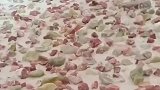 原来地板砖是这么制作的农村生活