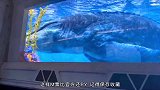 北京环球影城抢票攻略，十一假期也能玩爽