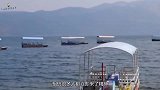 湖中出现神秘“水怪”，体长两米会发金光？专家给出了这样的解释