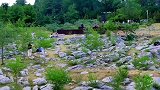 你知道青州怪石坡吗？形成于古生代寒武纪，至今约6亿年！