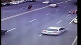 爆新鲜-20170212-男子骑马冲出马路撞车坠地 肇事马匹“逃逸”