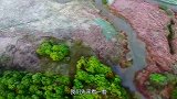 欧洲最大的沙丘：吞噬别墅和公路，却吸引百万游客慕名前来！