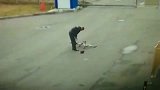 一条流浪狗能把他撞成这样，要不是监控拍下谁信