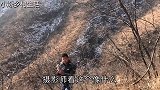 农村小伙上山找奇石，突然大叫：快过来有极品，真是千载难逢