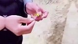 你是想吃炸鸡了吧？