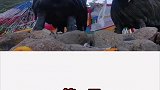 教你3天游玩林芝新措