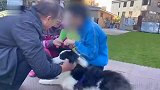 流浪犬被救后化身疗愈犬 “星星的孩子”迎来特殊“医生”