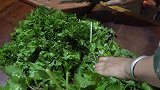 老妈把酸菜缸放进新房里，重新做好芹菜酸菜，倒入引子就能吃