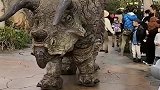 知道这是什么龙吗