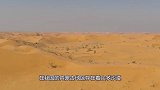 中国把黄河水引入沙漠中，奇迹的一幕出现？沙漠成功变绿洲