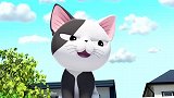 甜甜私房猫：这俩小猫咪，古灵精怪的，我们来看看吧