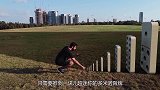 多米诺效应的威力有多大，一指之力就能推倒一座大厦，什么原理