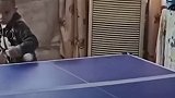 成都3岁萌娃练出乒乓神技