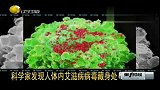 科学家发现人体内艾滋病病毒藏身处