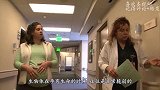 8只小羊羔早产，科学家将其放在“人造子宫”内，神奇的一幕发生