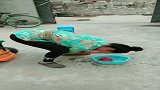 这前空翻厉害