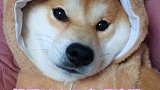 你们是不是也这样～洗澡