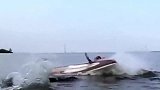 世界最大的螃蟹——“杀人蟹”，袭击渔民，造成60人死亡