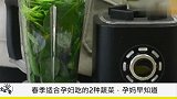 怀孕期间，准妈妈多吃这两种蔬菜，宝宝健康大脑更聪明