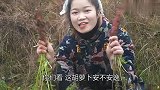 农村不愁没有菜，燕子种的胡萝卜安逸，正好做一道红烧排骨