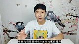 某宝18元的牛粪火锅，味道怎么样？