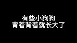 究竟是怎样的幸运，让我可以拥有这些小可爱的