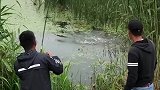 钓友钓到一条大鱼，抓上岸后生怕被它跑了