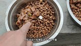 从未后悔养了两只狗狗，不管多么困难，它们总会给你带了慰藉加油