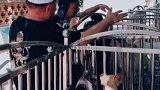 孙越老师来于老师马场了，于谦 孙越 德云社 郭德纲 相声 谦酒