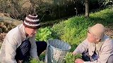 四川方言土话能听懂吗