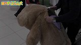 碰见会说话的“泰迪熊”，战斗民族男人和女人的反应太不一样了