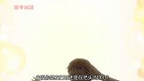 少年运动细胞太差了吧，打球好像打到了自己