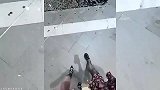 盘点跳舞美女，对这种姑娘毫无抵抗力，谁看了不迷糊啊？