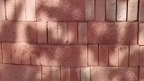 公公瞒着我，找熟人买的红砖